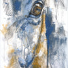 Expression 39t