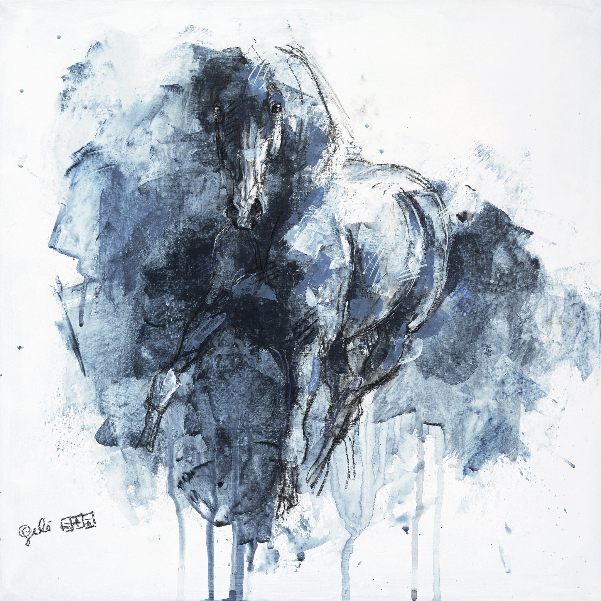 Equine Nude 163t