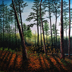 Autumn Sunset In The Forest
