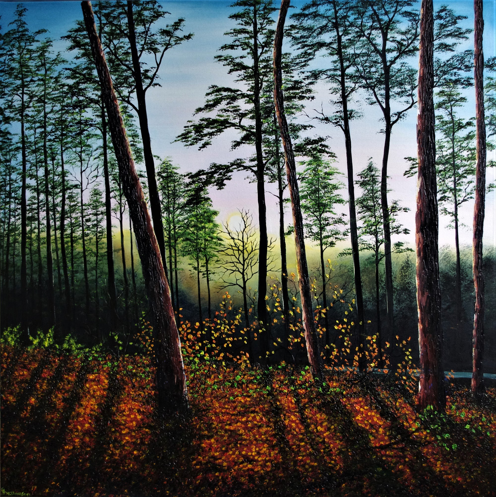 Autumn Sunset In The Forest