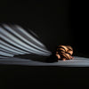 Bound By Light 1