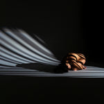 Bound By Light 1
