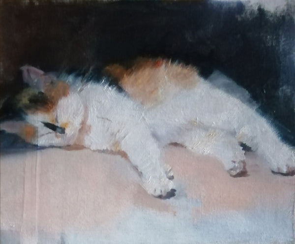 Cornish Kitty