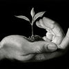 Creation