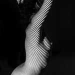Eclipsed Silhouette