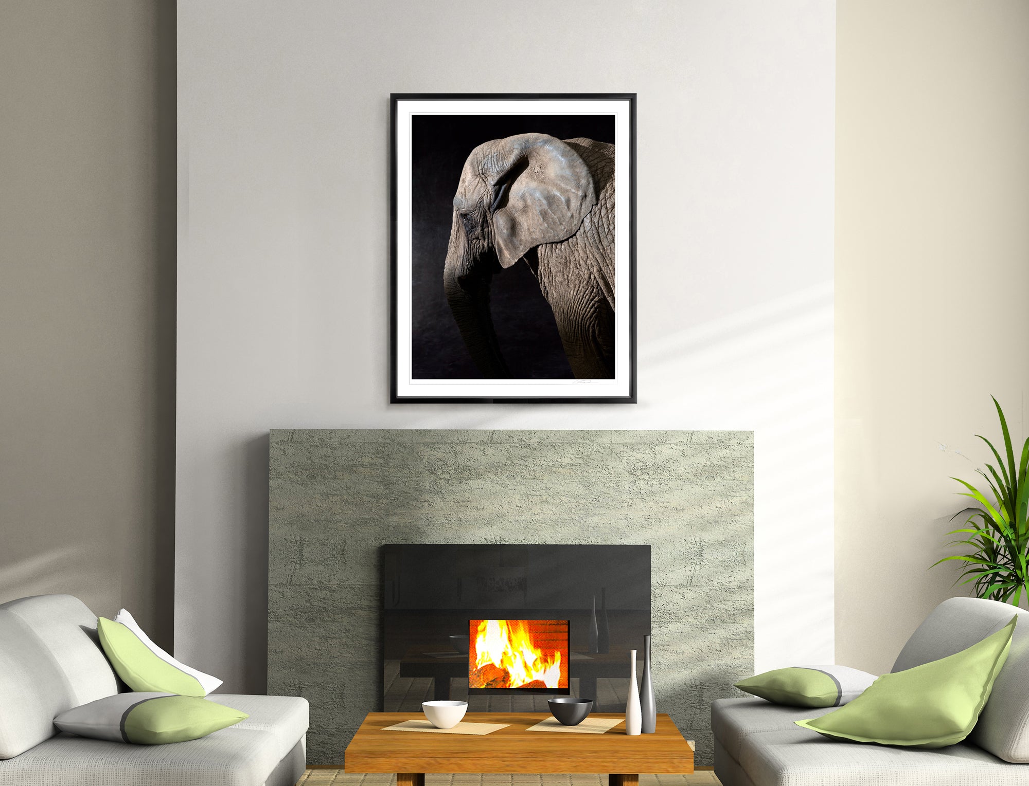 Elphas