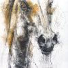 Face To Face 12p