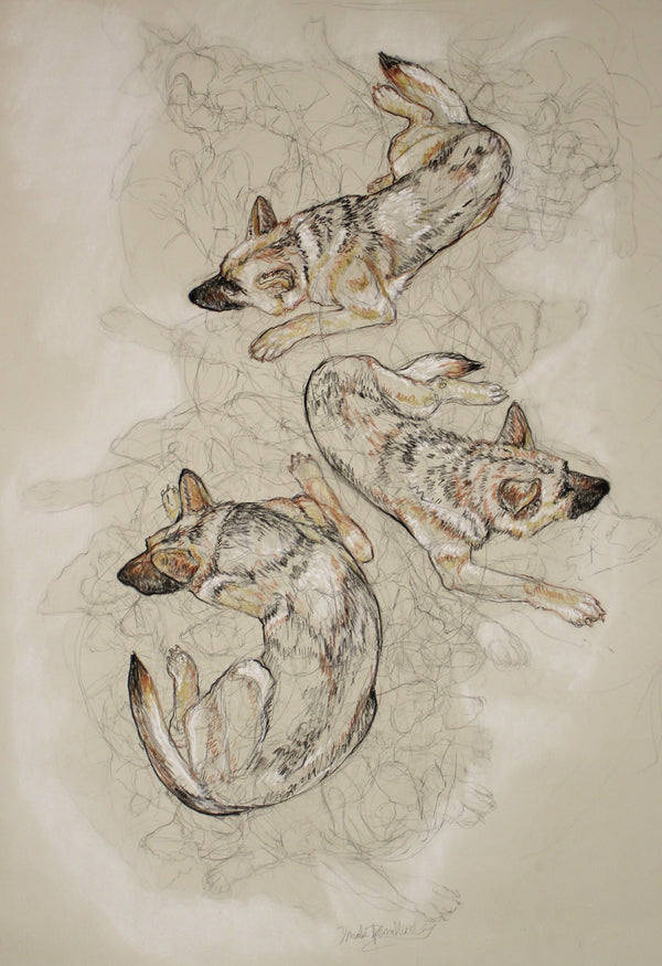 Dogs - Gesture Series #7