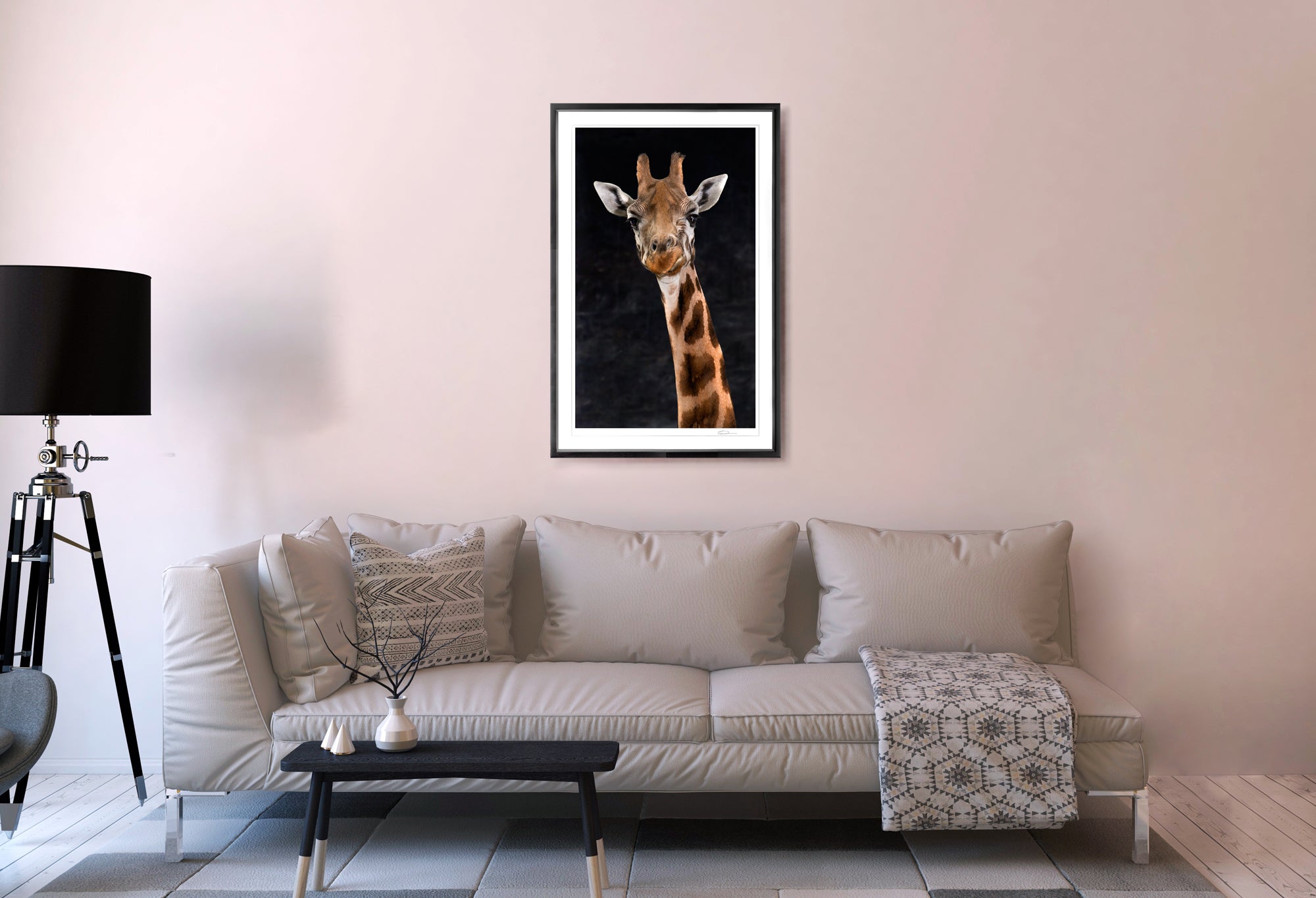 Harvey The Giraffe