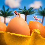 Incubation