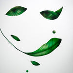 Leaf Smile