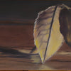 Leaves On The Steps
