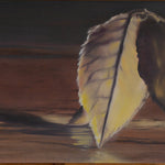 Leaves On The Steps