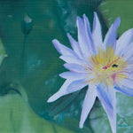 Lilly