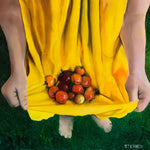 Little Harvest
