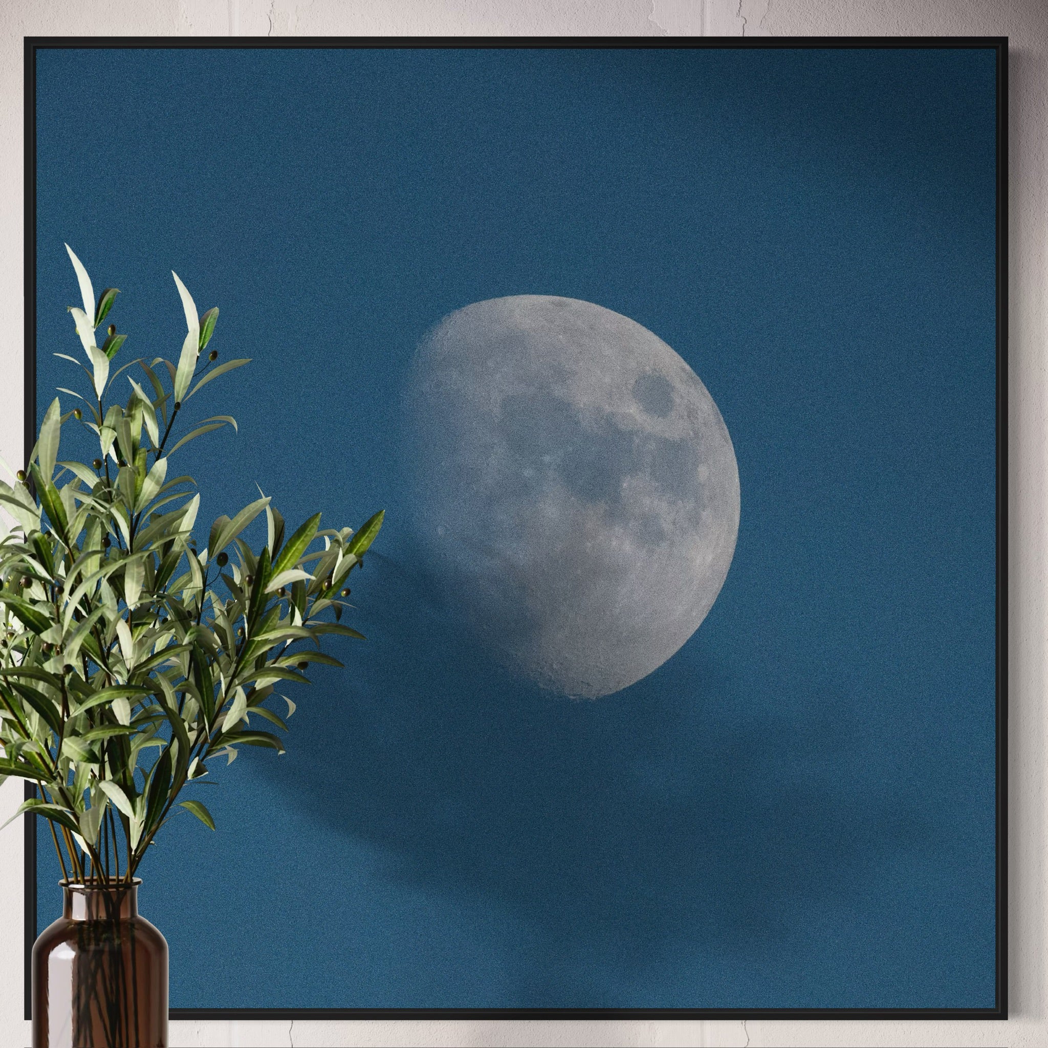 Look At The Moon
