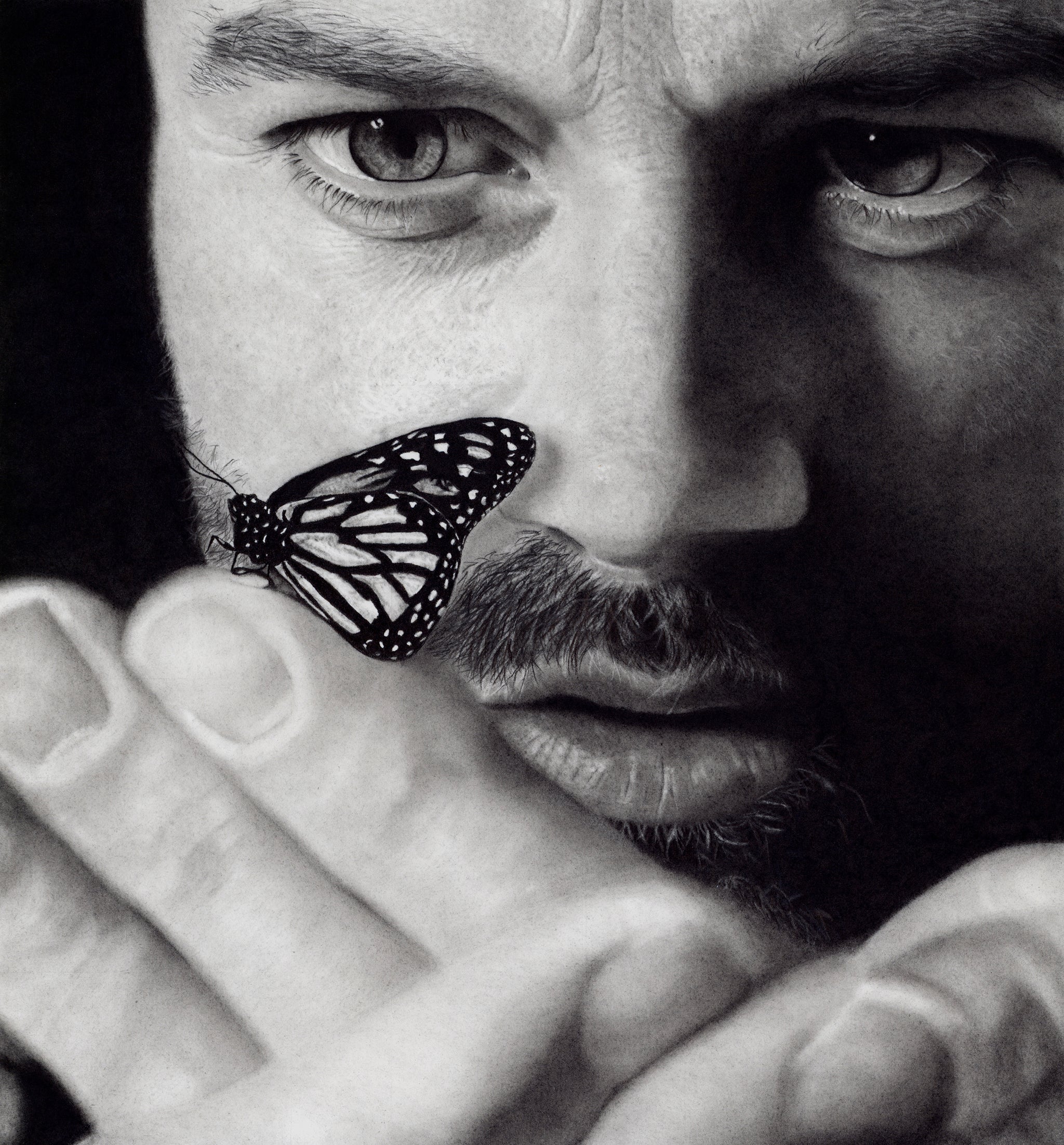 Metamorphosis
