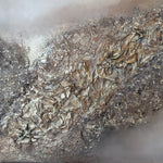 Metamorphosis