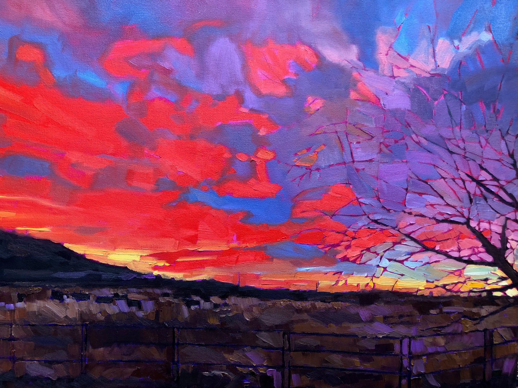 Montana Sky