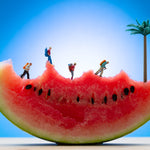 Mount Melon