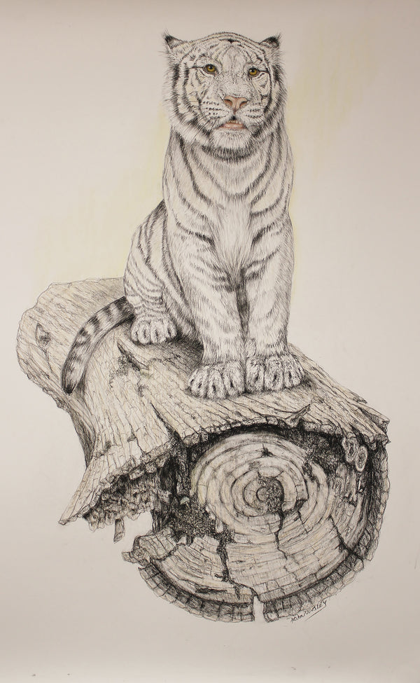 No Where To Run - White Tiger