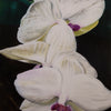 Orchid Parade