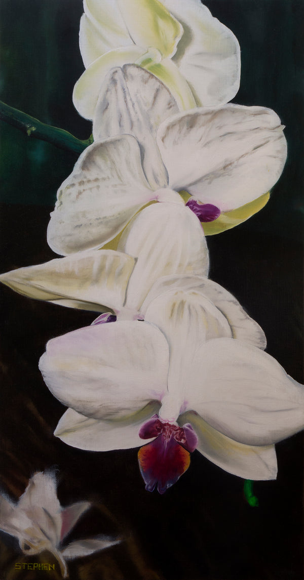 Orchid Parade