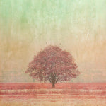 Pink Tree