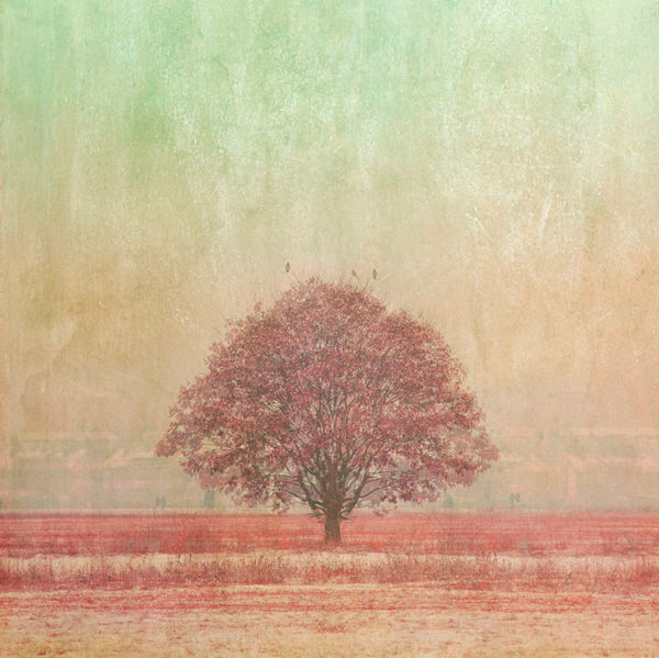 Pink Tree
