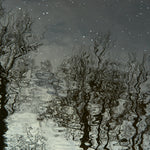Ripples 2