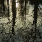 Ripples 5