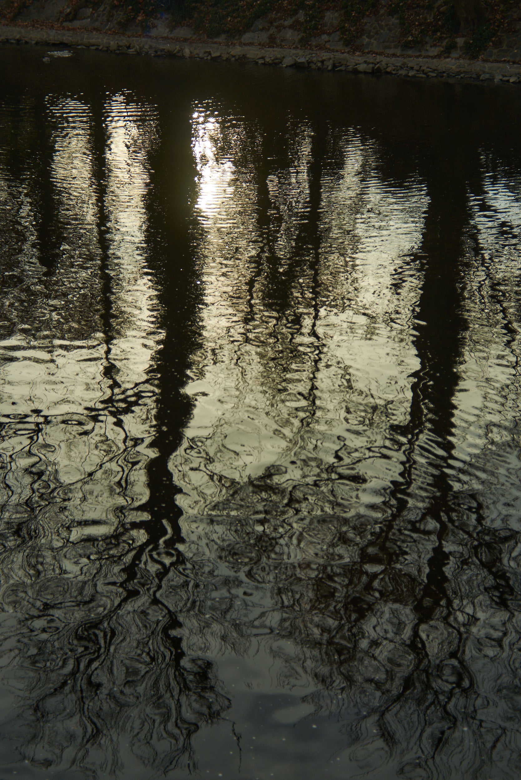 Ripples 5