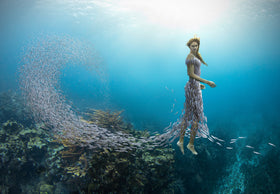 She Shoal