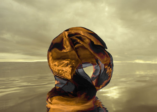 Shell