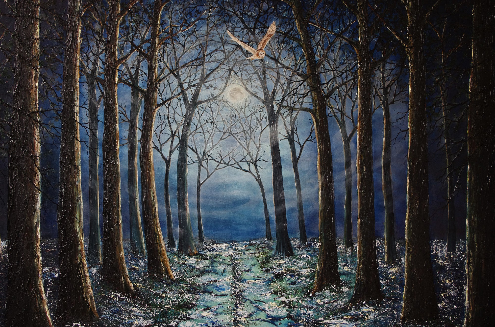 Silent Night In The Forest