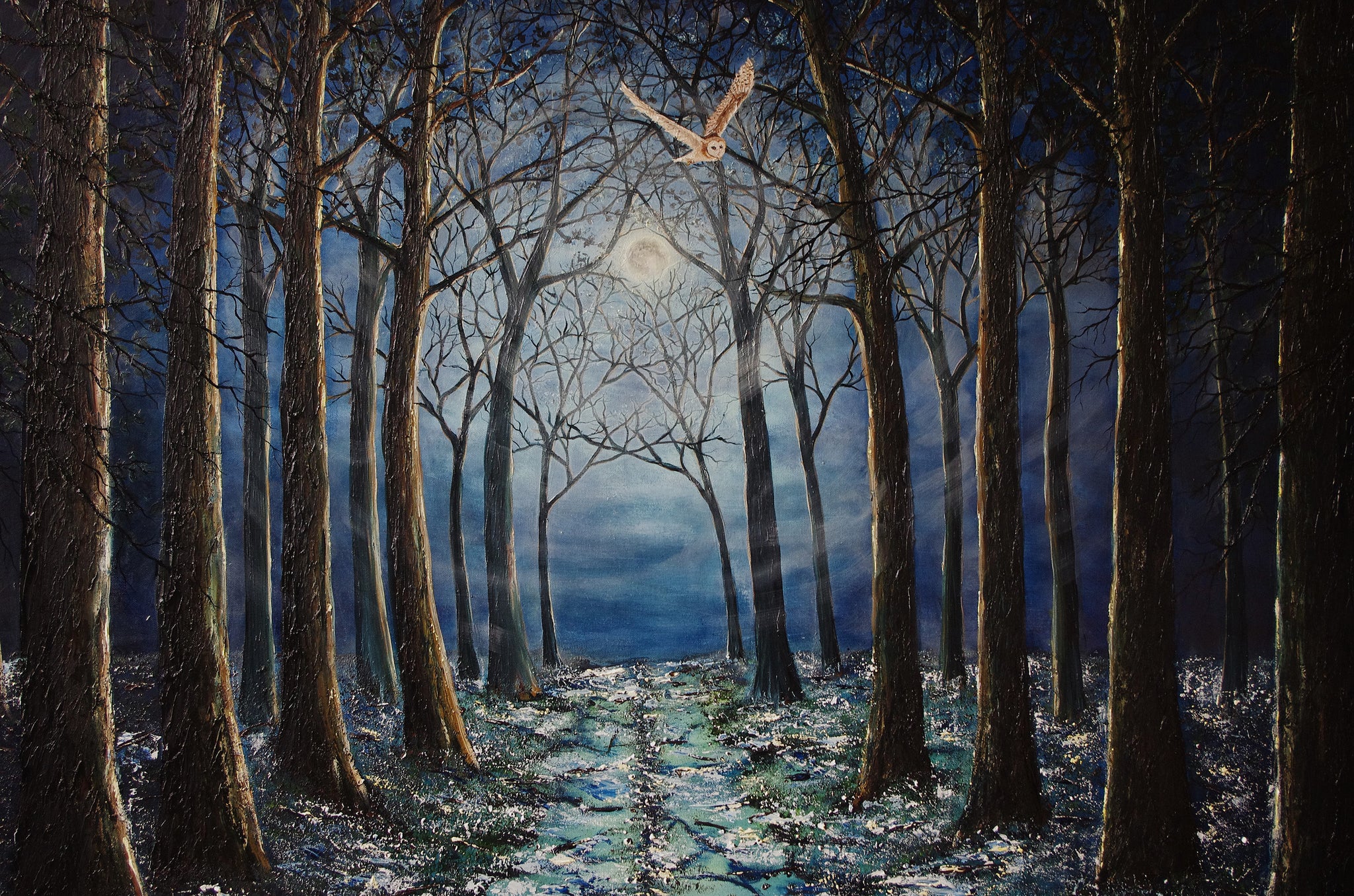 Silent Night In The Forest