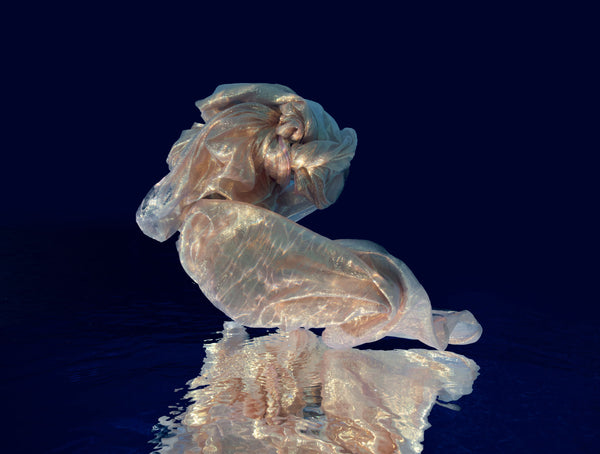 Swan