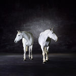 Symmetry II