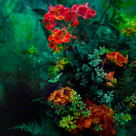 The Coral Sea