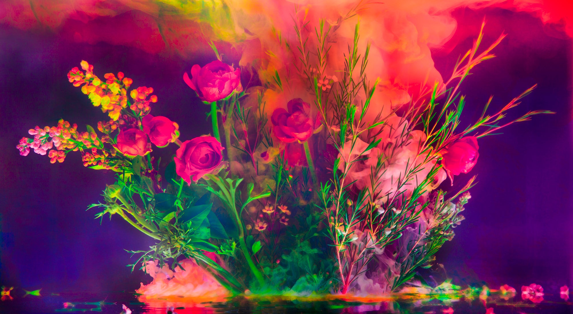 The Electric Flora