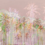 Tropical Harmony