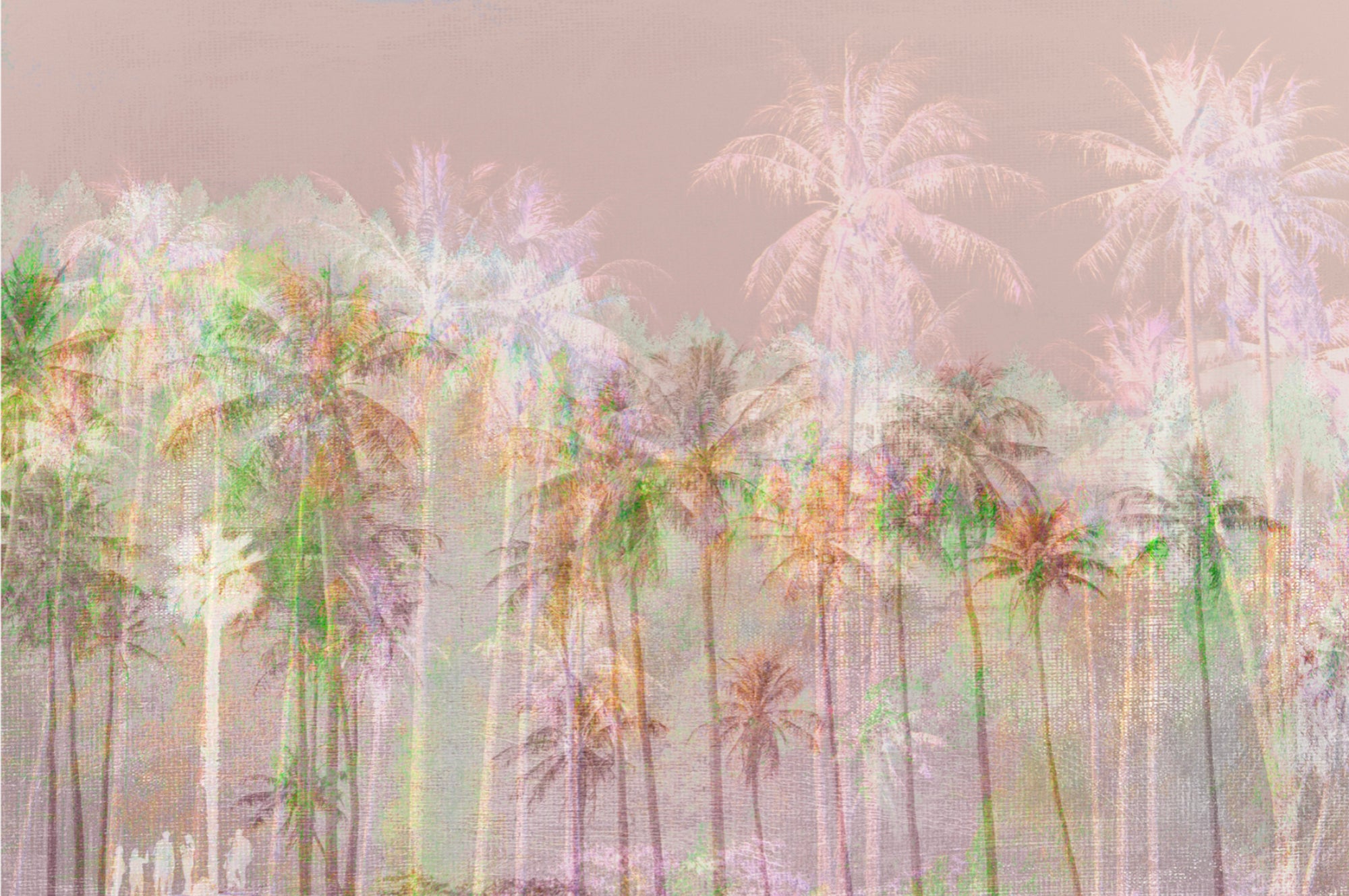 Tropical Harmony