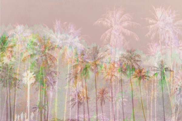 Tropical Harmony