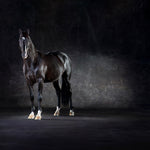 Uthopia