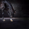 Uthopia The Bow