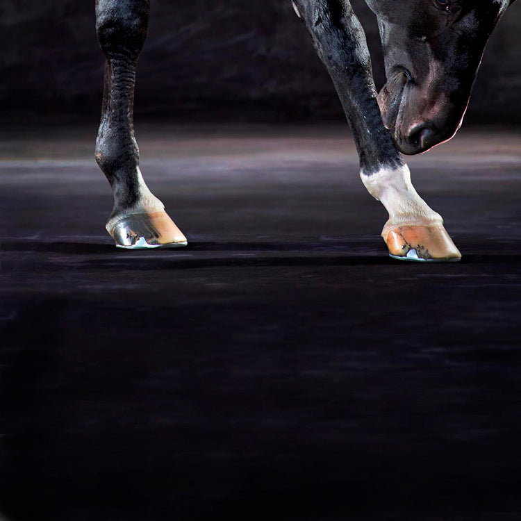 Uthopia The Bow