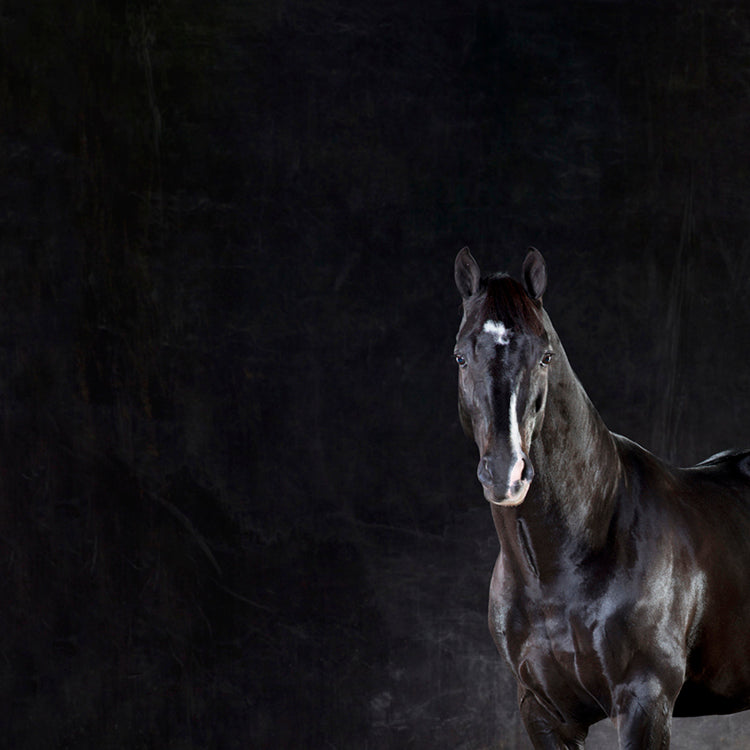 Uthopia