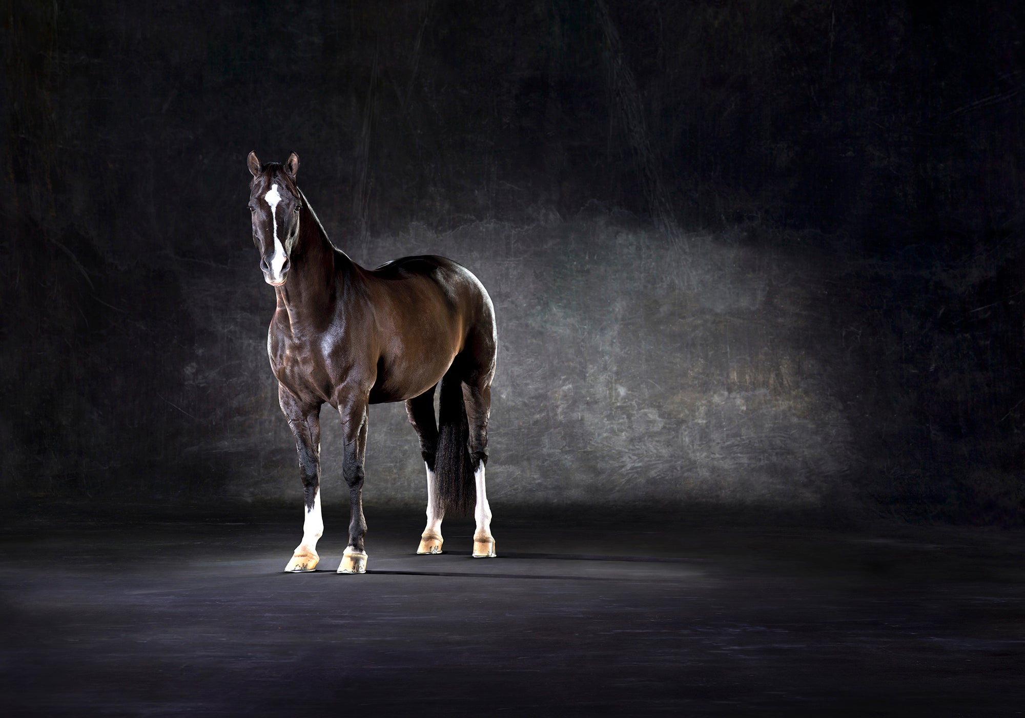 Valegro