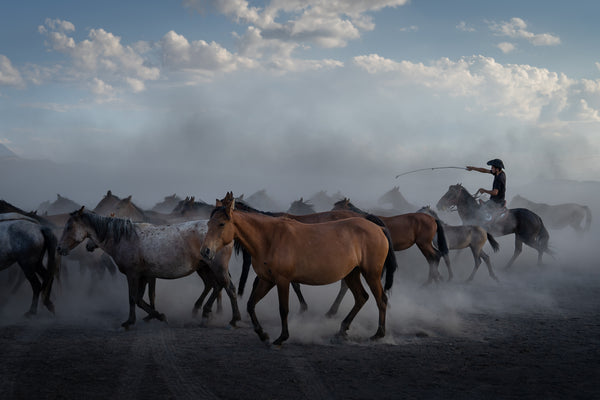 Yilki Horses of Kayseri and Their Herders - Wild Harmony