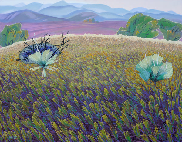 Hillside Yucca